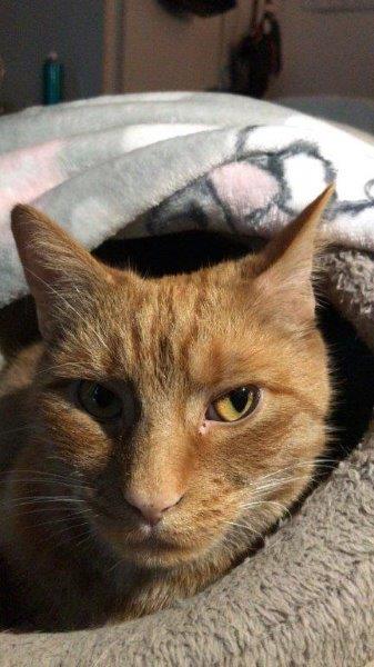 776E7EA4-63FE-402C-9853-CD98A1AA8EC