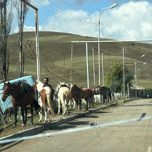 armenia-yerivar-roadtrip yerevan horse riding