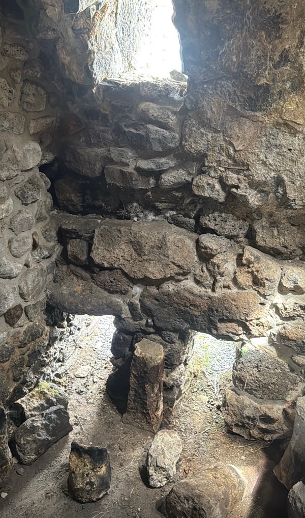 lori fortress