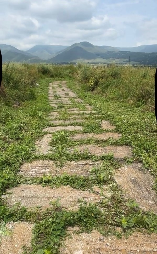 lori fortress
