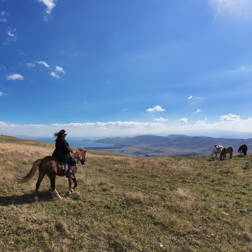 armenia-yerivar horse riding