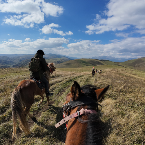 armenia-yerivar horse riding
