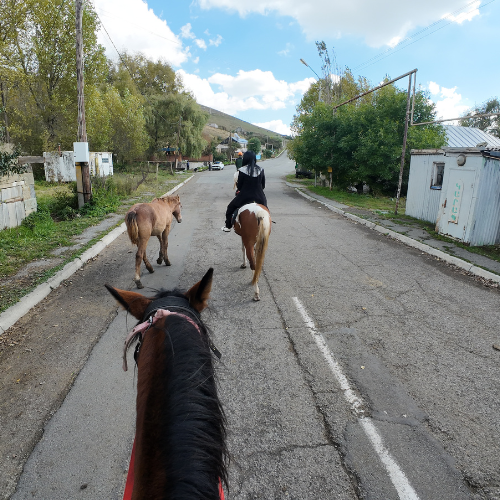 armenia-yerivar horse riding