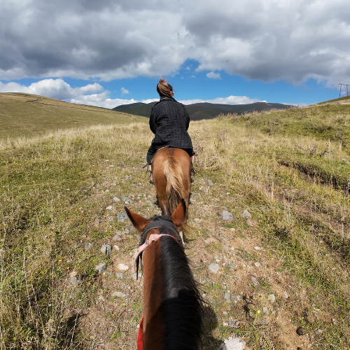 armenia-yerivar horse riding