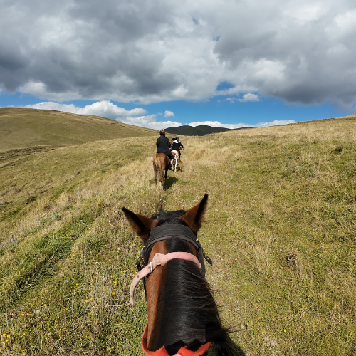 armenia-yerivar horse riding