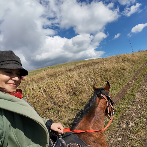 armenia-yerivar horse riding