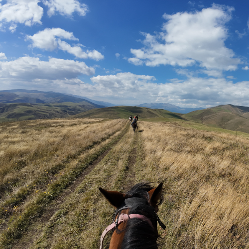 armenia-yerivar horse riding